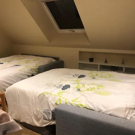 Domaine Les Petits Bois Seminaire 36 Couchages Avec Piscine Privee 31 Degres *